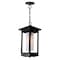 Cwi Lighting Granville 1 Light Black Outdoor Hanging Light 0412P7-1-101 - alternate 7
